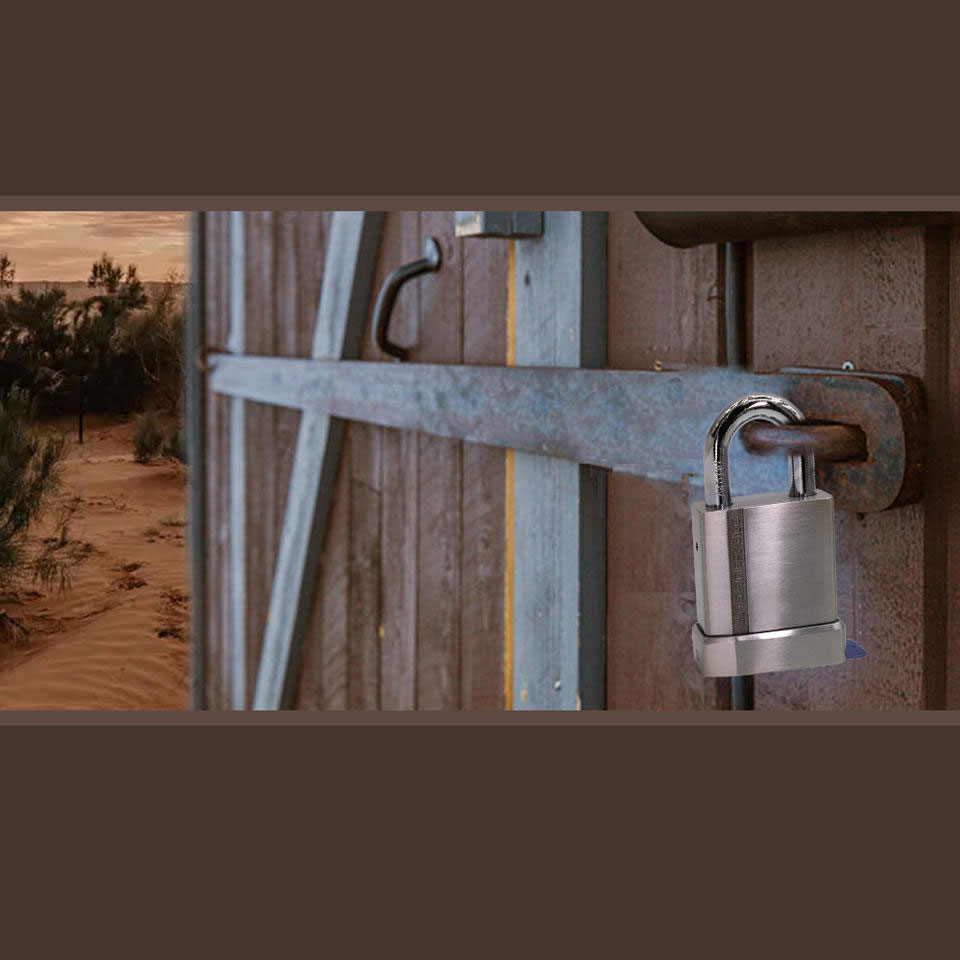 Wasserdichte App-Fernbedienung Smart Keyless USB-Ladung Fingerabdruck Vorhängeschloss-DDPL011